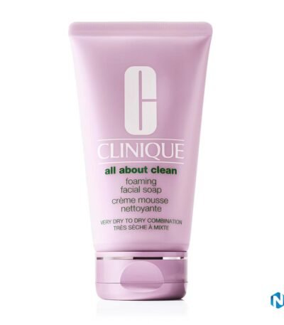 Clinique All About Clean Foaming Facial Soap
